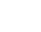 NESR